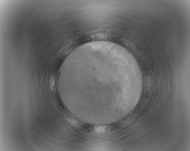 X0000063530709200602172243