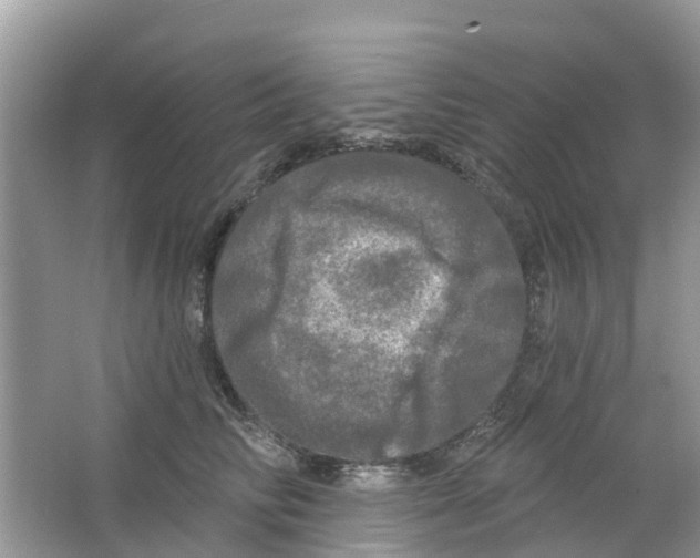 X0000063530710200602172243