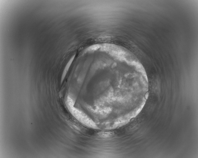 X0000063530711200602172243