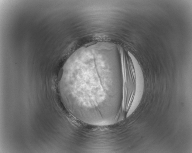 X0000063530712200602172243