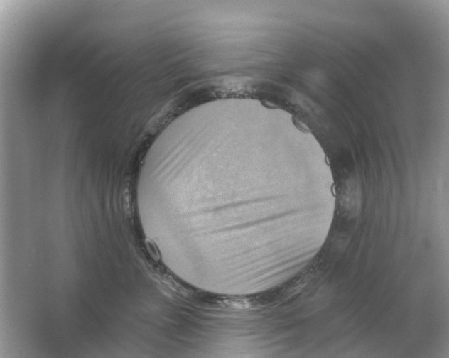 X0000063530715200602172243