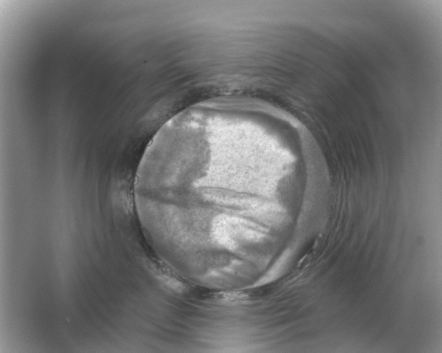 X0000063530719200602172243