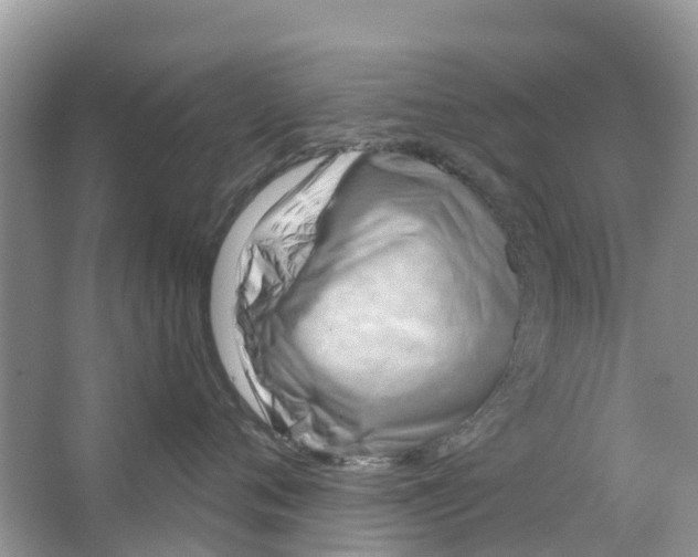 X0000063530720200602172243