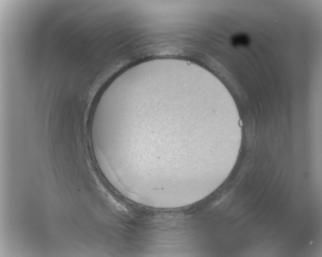 X0000063530721200602172242