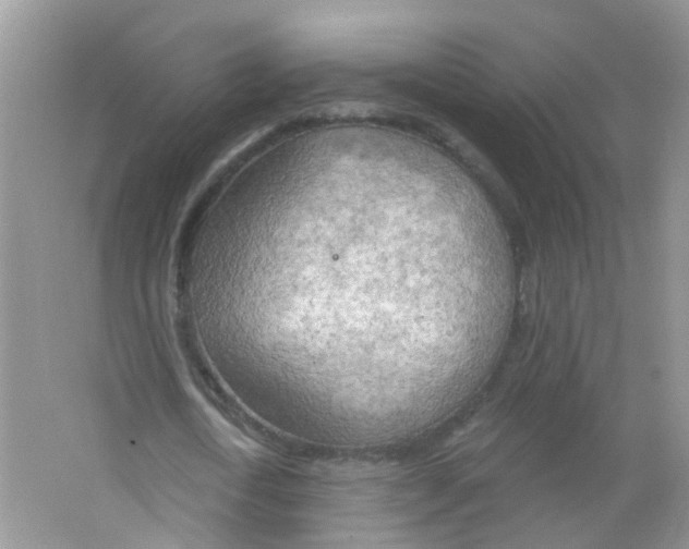 X0000063530722200602172242