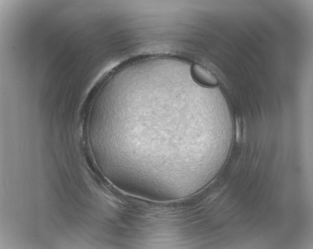 X0000063530723200602172242