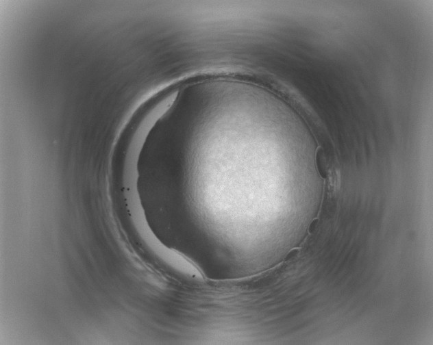 X0000063530724200602172242