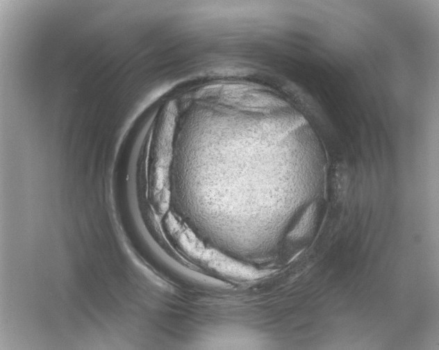 X0000063530726200602172242