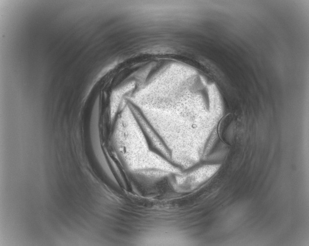 X0000063530727200602172242