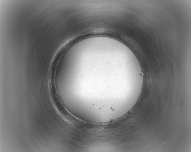 X0000063530728200602172242