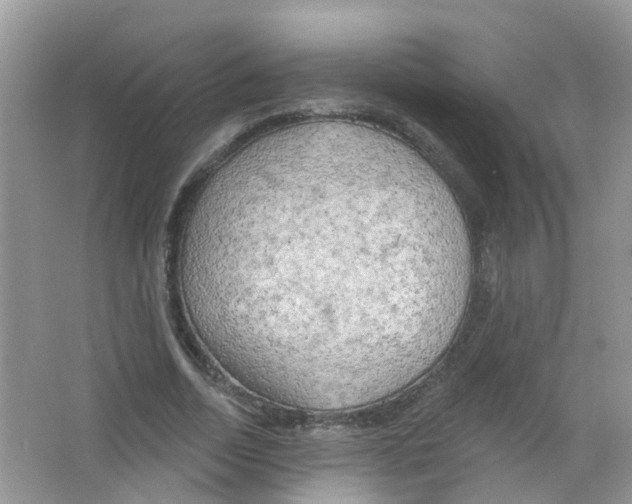 X0000063530730200602172242