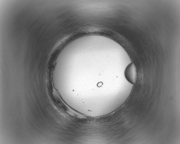 X0000063530732200602172242