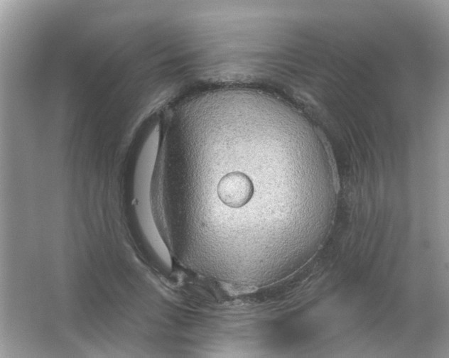 X0000063530735200602172242