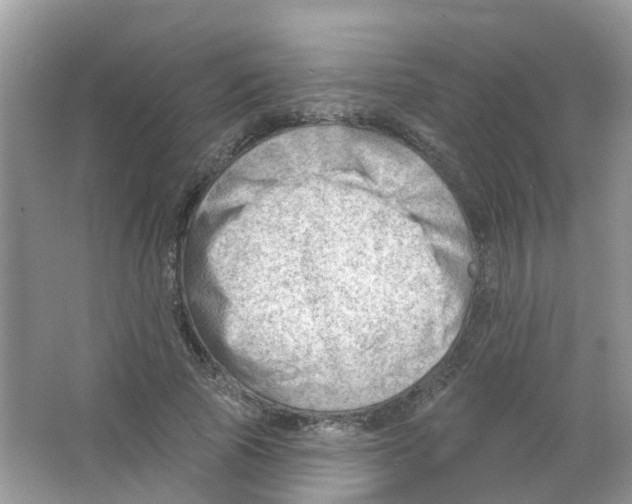 X0000063530737200602172242