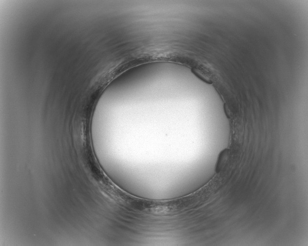 X0000063530740200602172242