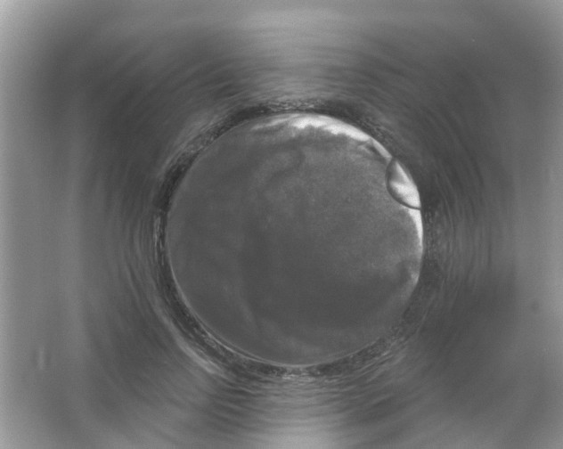 X0000063530742200602172242