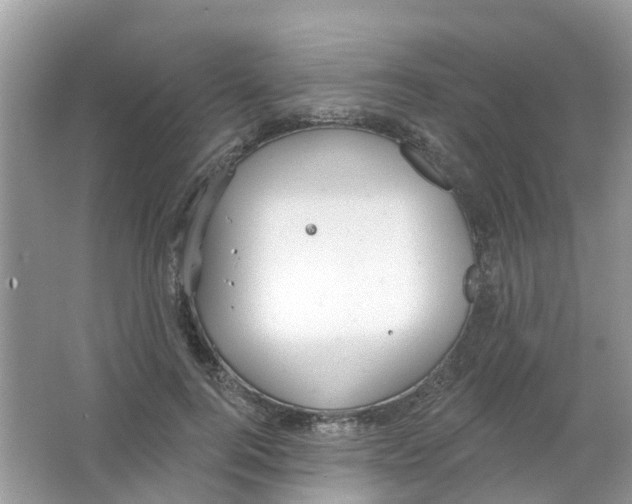 X0000063530744200602172242