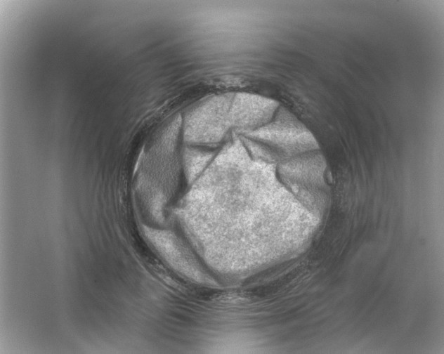 X0000063530747200602172242