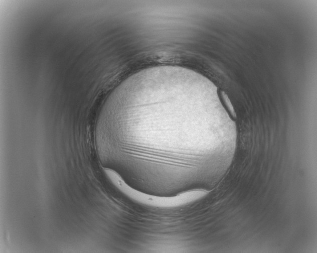 X0000063530748200602172242