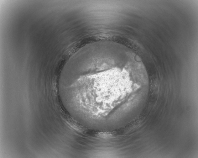 X0000063530749200602172242