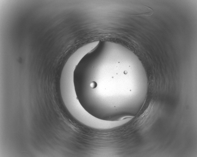 X0000063530750200602172242