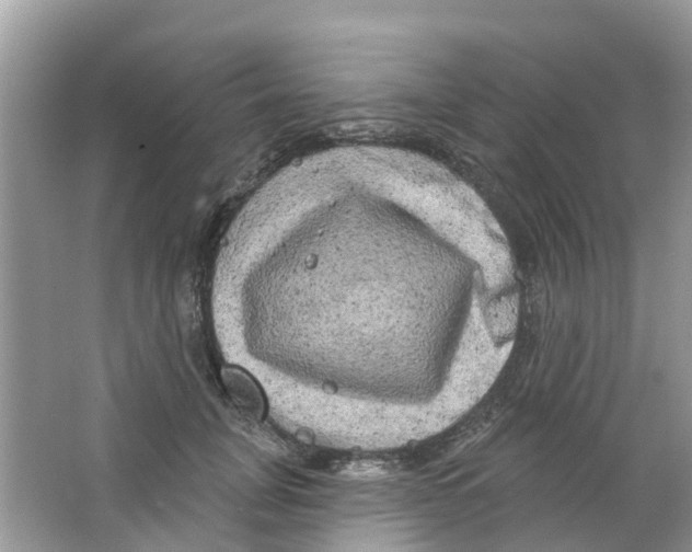 X0000063530751200602172242