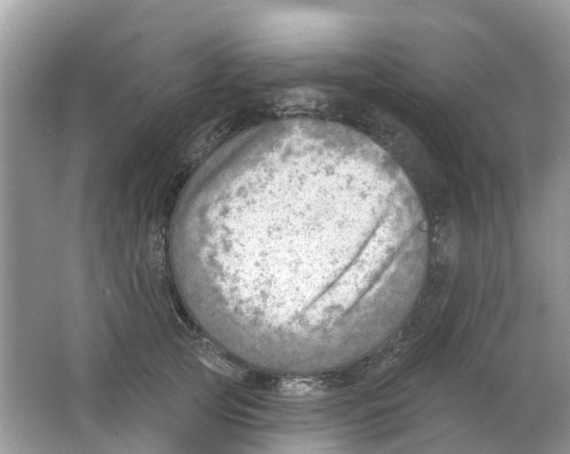 X0000063530753200602172242