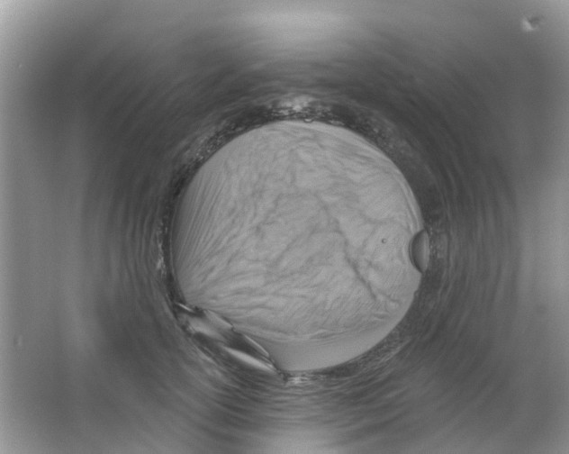 X0000063530754200602172242