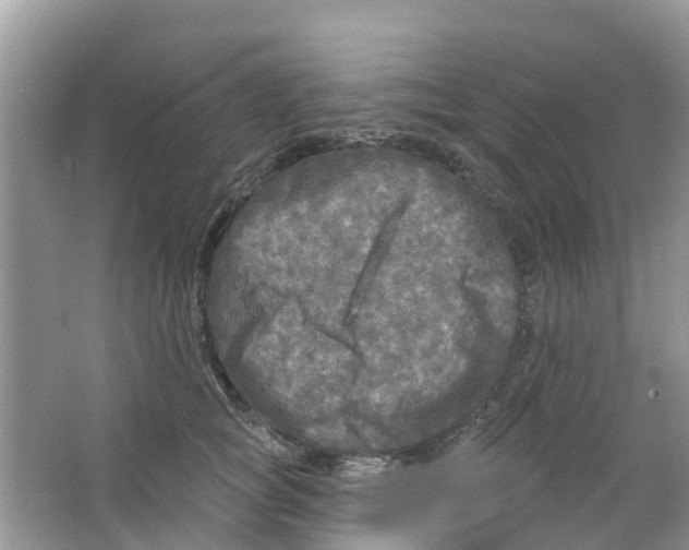 X0000063530757200602172242