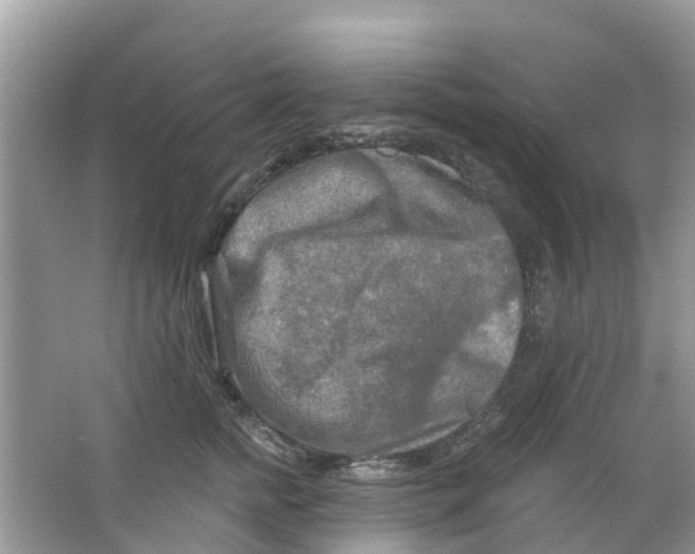 X0000063530758200602172242