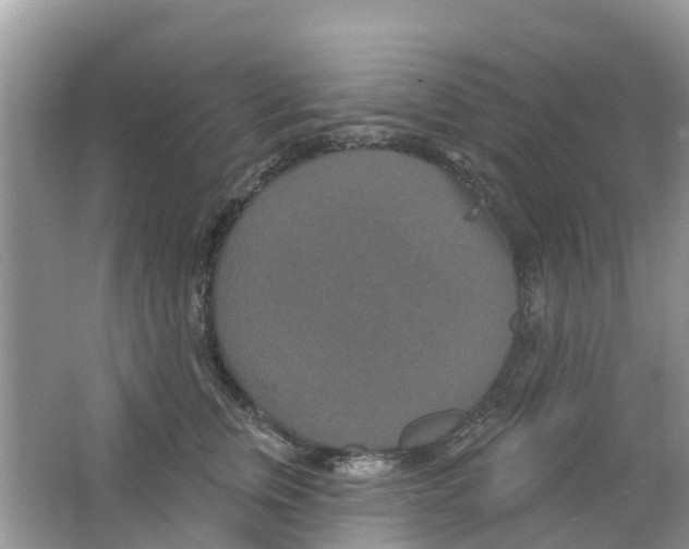 X0000063530759200602172242