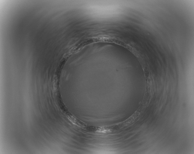 X0000063530760200602172242