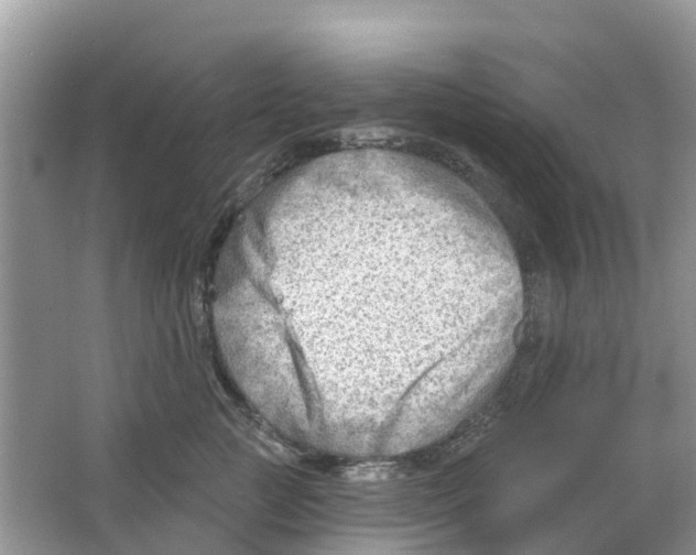 X0000063530761200602172242