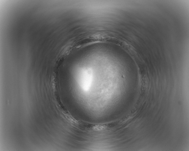 X0000063530762200602172242