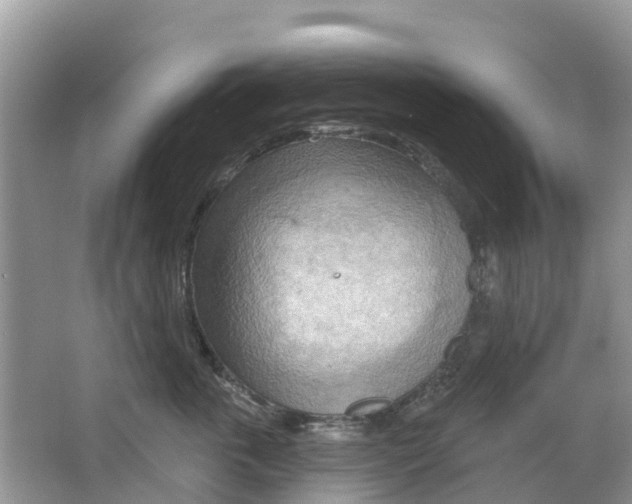 X0000063530763200602172242