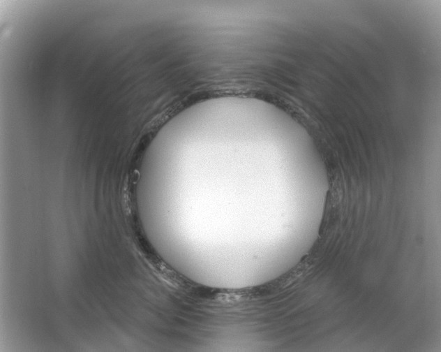 X0000063530764200602172242