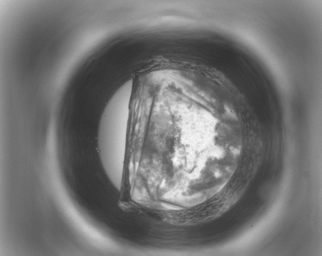 X0000063530765200602172242