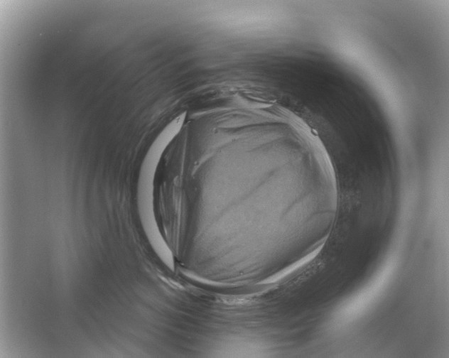 X0000063530766200602172242