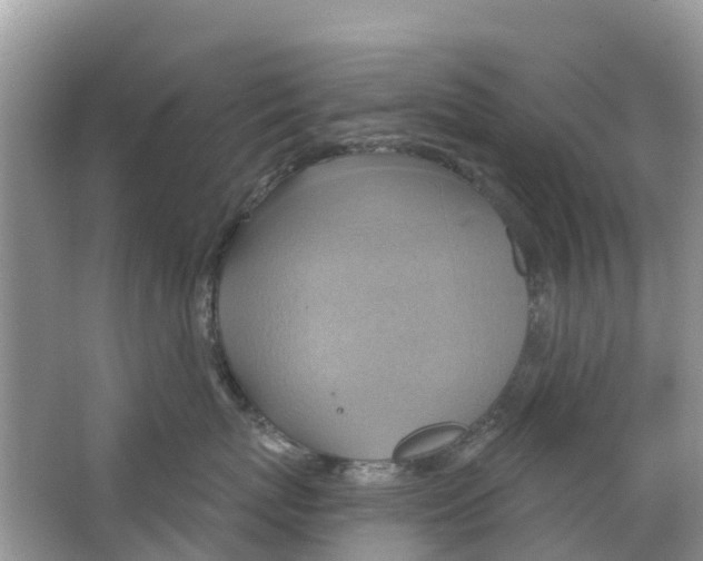 X0000063530767200602172242