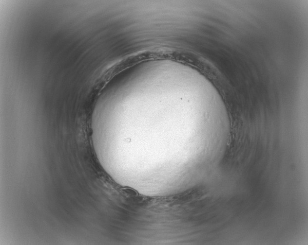 X0000063530773200602172242