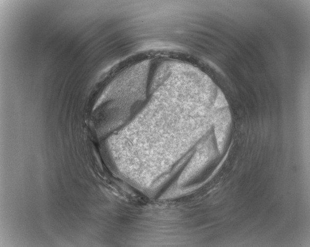 X0000063530775200602172242