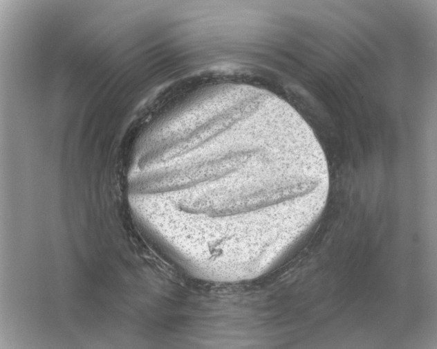 X0000063530776200602172242