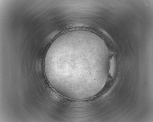 X0000063530777200602172241