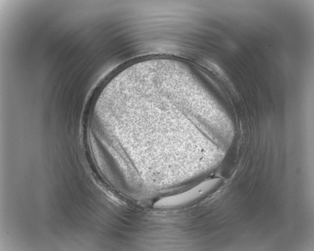 X0000063530780200602172241