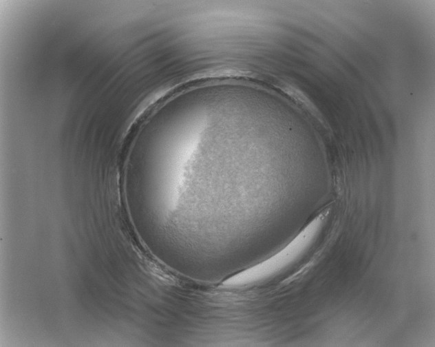 X0000063530781200602172241