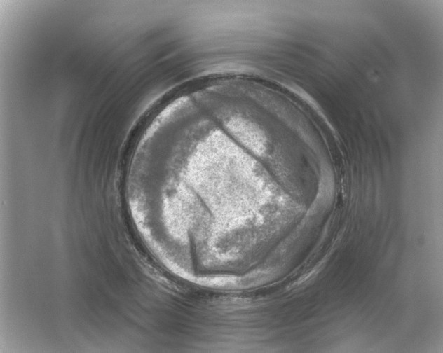 X0000063530783200602172241