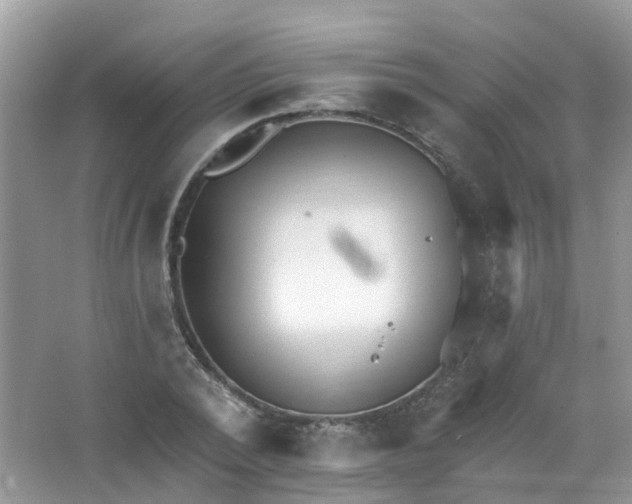 X0000063530784200602172241