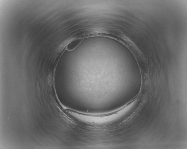 X0000063530785200602172241