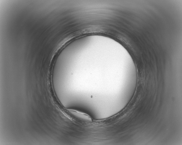 X0000063530786200602172241