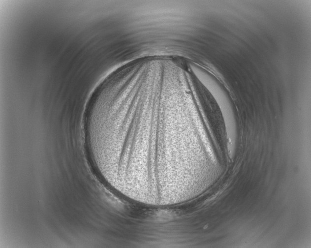 X0000063530787200602172241